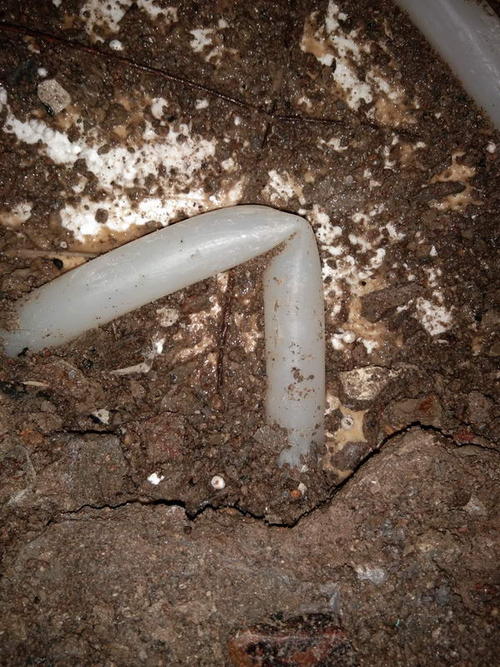 西峰堵点精准查找